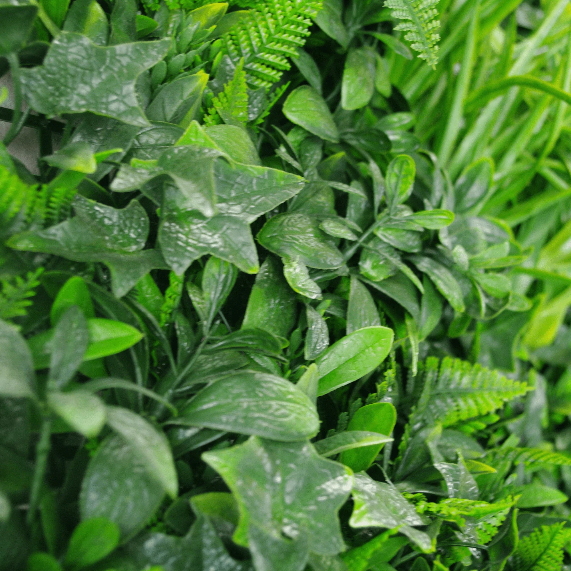 Green Tropics Artificial Green Wall 40
