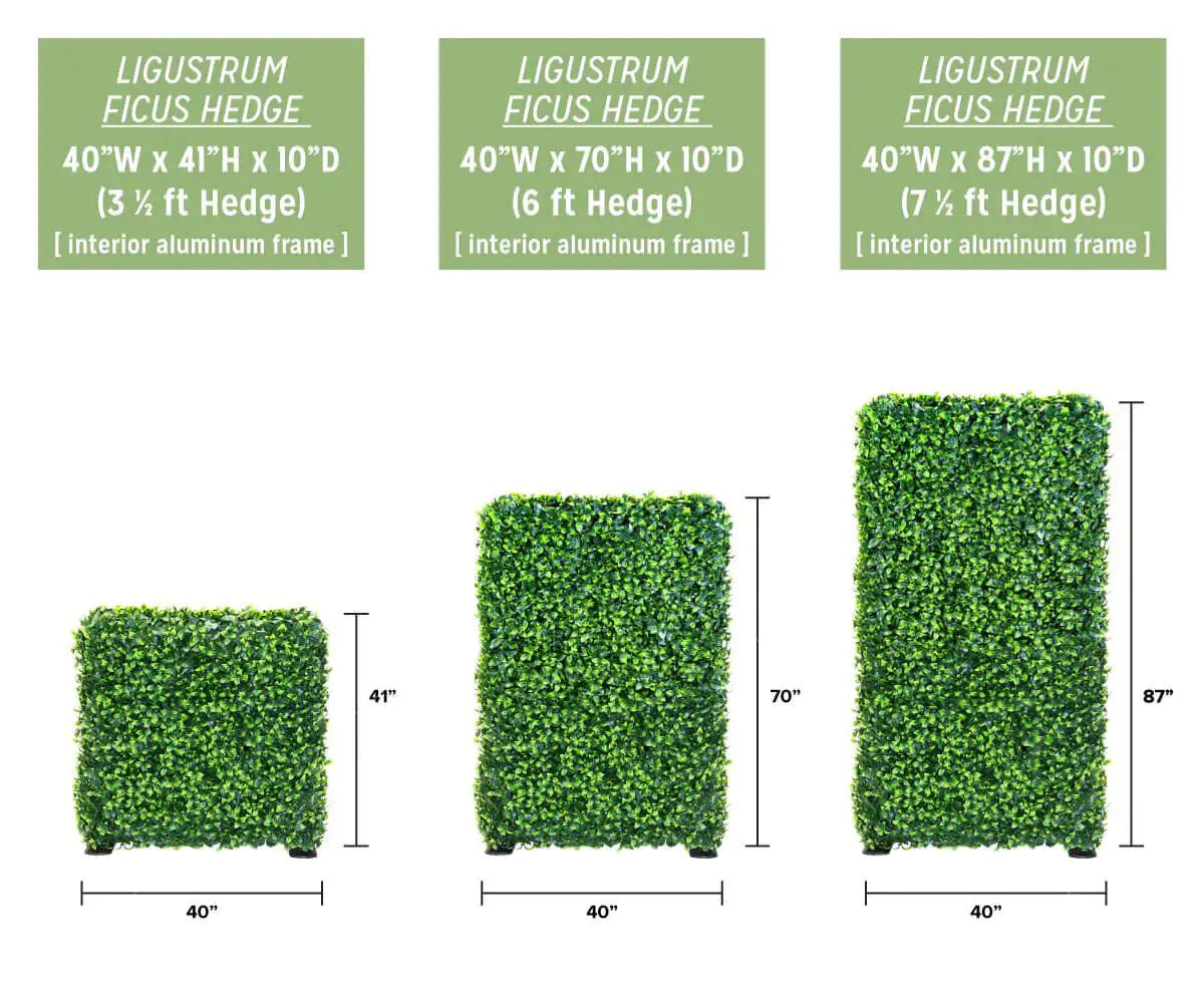 Artificial Ligustrum Ficus Freestanding Hedge (3 Sizes) UV Resistant